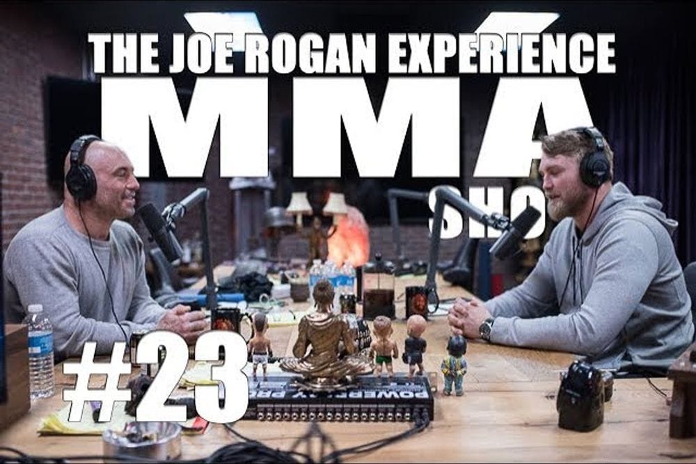 Alexander Gustafsson Talks UFC Career on JRE MMA Show #23 post image