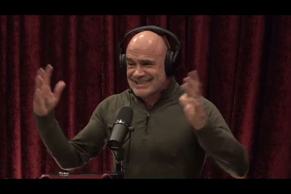 Bas Rutten Shares MMA Insights on JRE MMA Show #139 post image