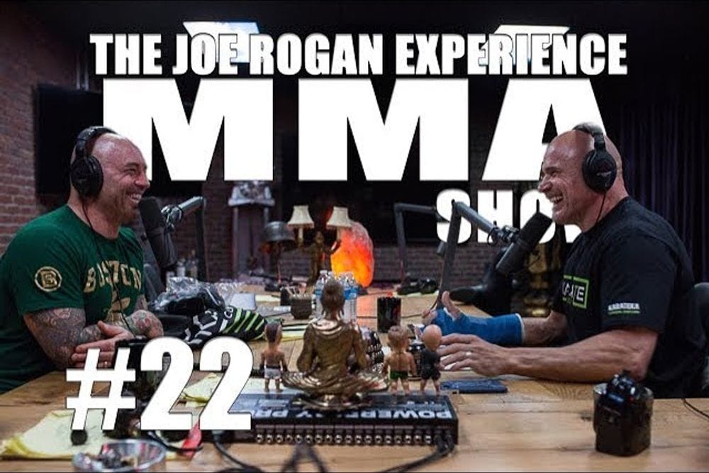 Bas Rutten Shares MMA Insights on JRE MMA Show Episode 22 post image