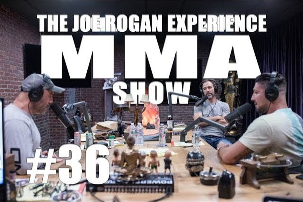 Brendan Schaub and Bryan Callen Break Down Upcoming MMA Fights post image
