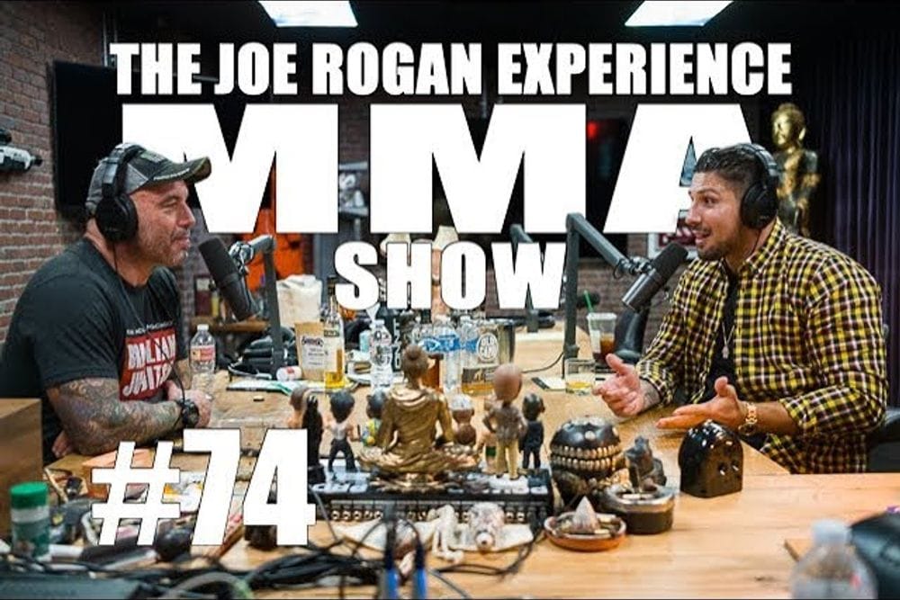 Brendan Schaub and Joe Rogan Break Down Key MMA Fights post image
