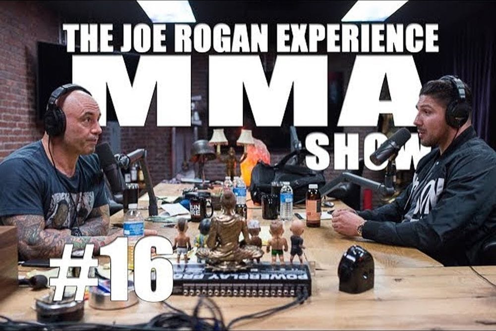 Brendan Schaub Breaks Down Recent MMA Fights on JRE MMA Show post image