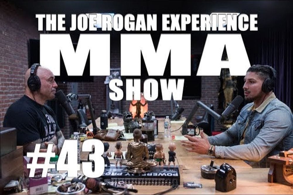 Brendan Schaub Breaks Down UFC 229 on JRE MMA Show #43 post image