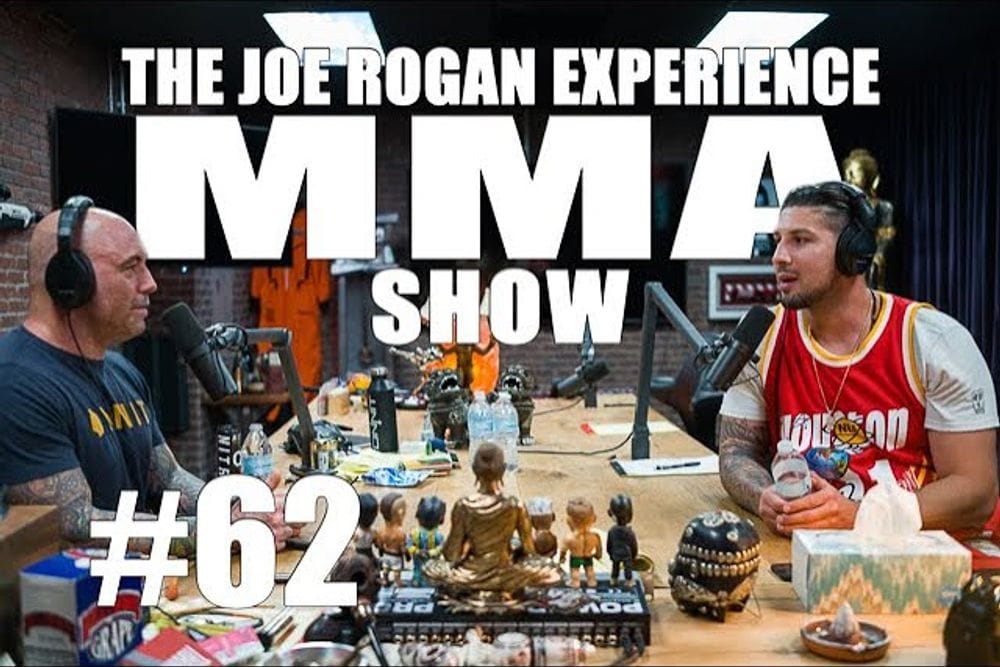 Brendan Schaub Breaks Down UFC 236 Fights on JRE MMA Show post image