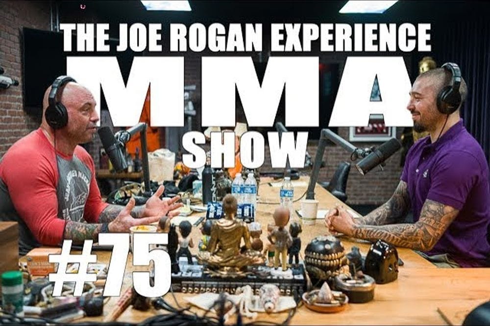 Dan Hardy Breaks Down MMA Insights on Joe Rogan's Podcast post image