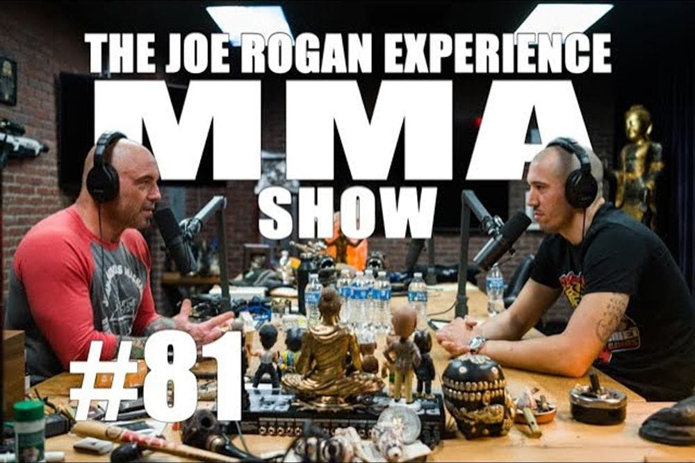 Dave Leduc Discusses Lethwei Mastery on JRE MMA Show #81 post image