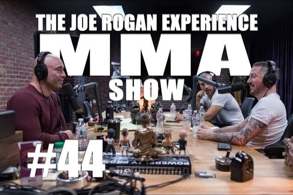 Inside MMA: John Kavanagh and George Lockhart on Fight Strategies post image