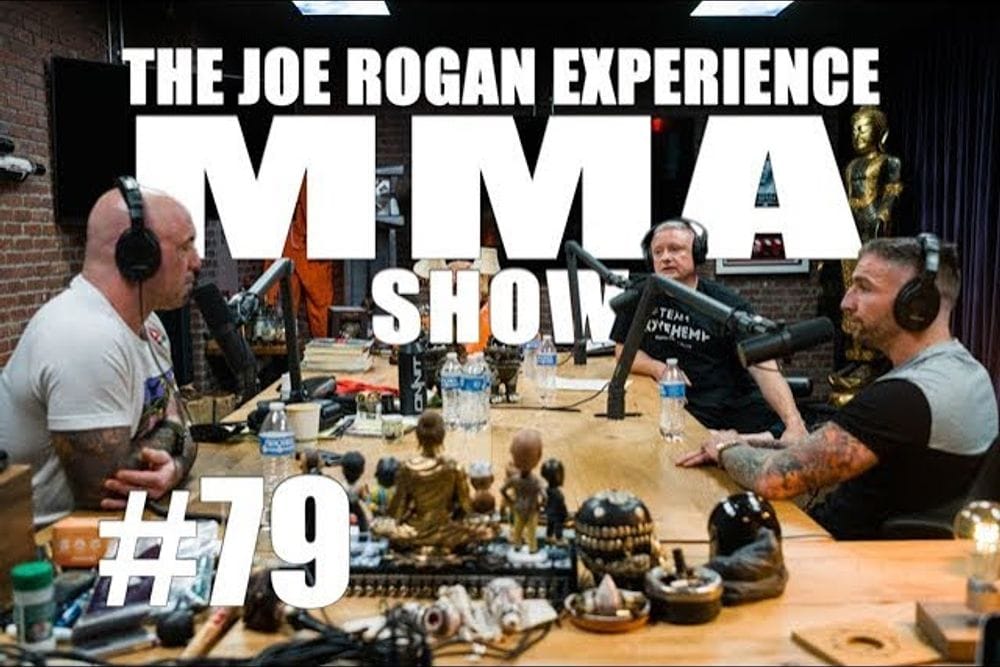 Inside JRE MMA Show: Vinny Shoreman and Liam Harrison's Fight Insights post image