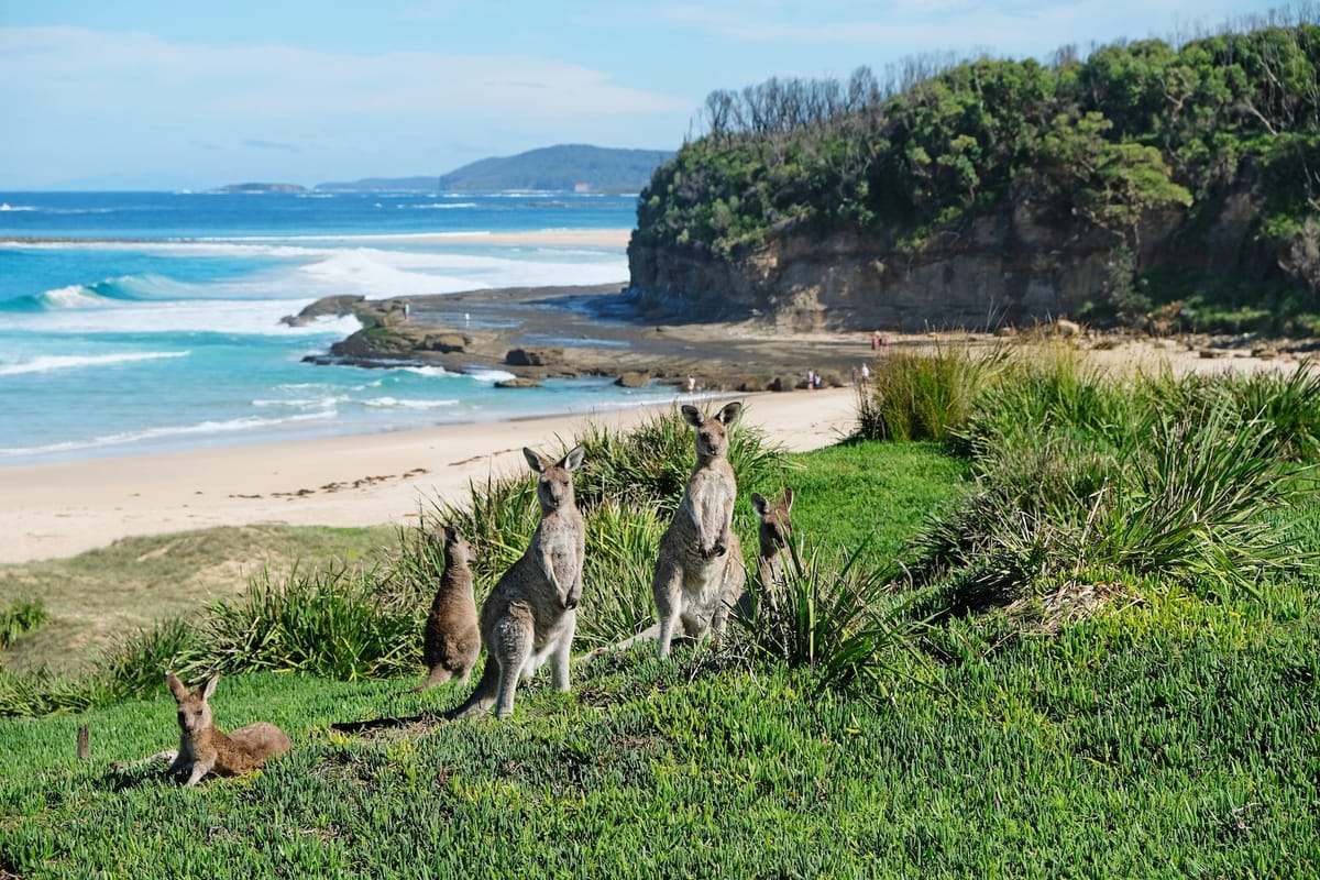 Exploring Australia's Hidden Gems Off the Beaten Path