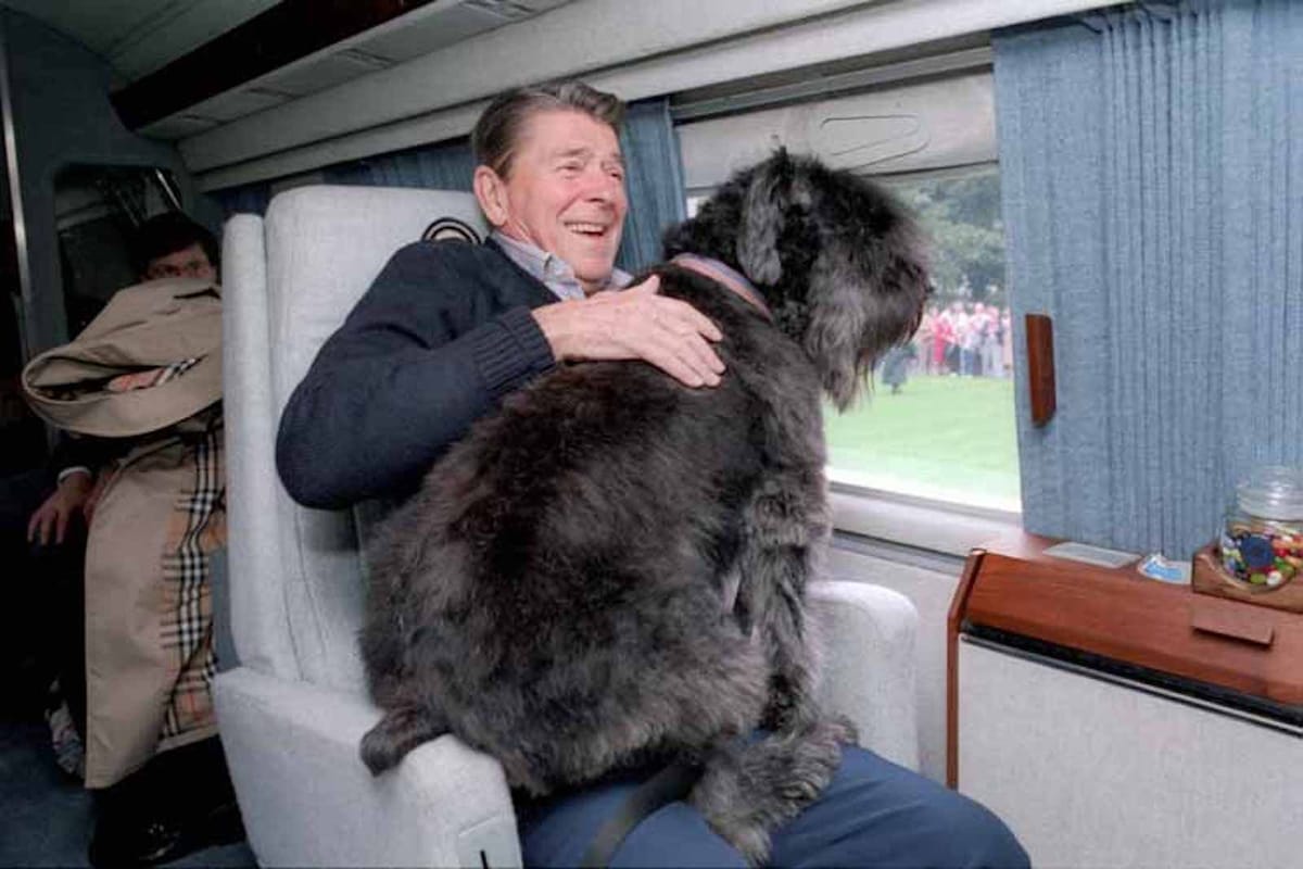 The Fascinating History of American Presidents and Their Dogs