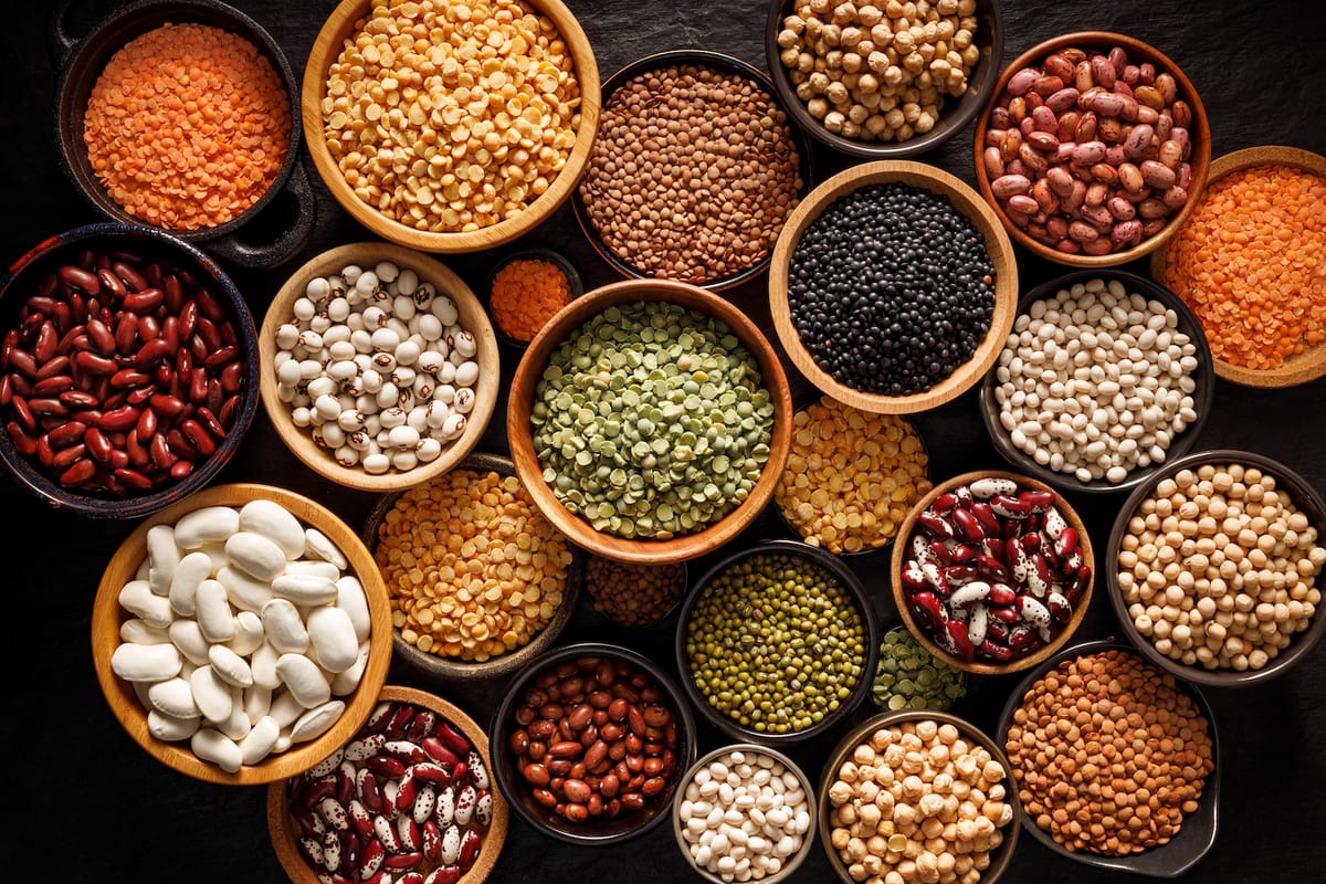 Lentils vs Beans: Which is Healthier for Seniors?