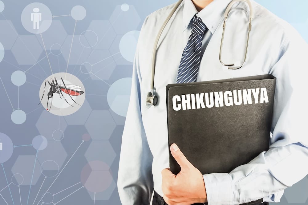 FDA Halts Chikungunya Vaccine for Seniors Over Safety Concerns