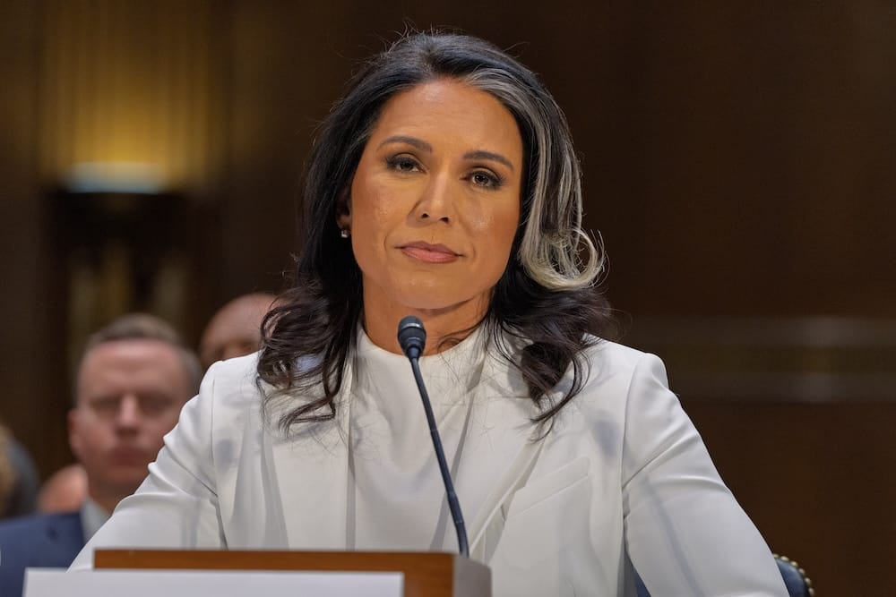Tulsi Gabbard Purges National Intelligence Council Leaders to End Politicization
