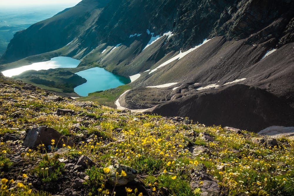 Image of mountains, water, and wild flowers in Glacier National Park.