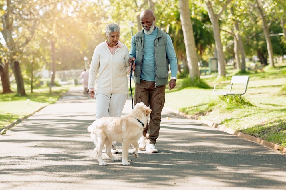 Image of an older couple walking a dog.