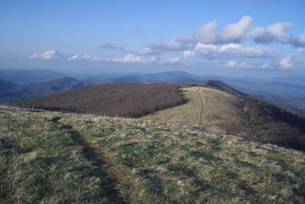 The Appalachian Trail: Fascinating Facts Behind America's Beloved Footpath