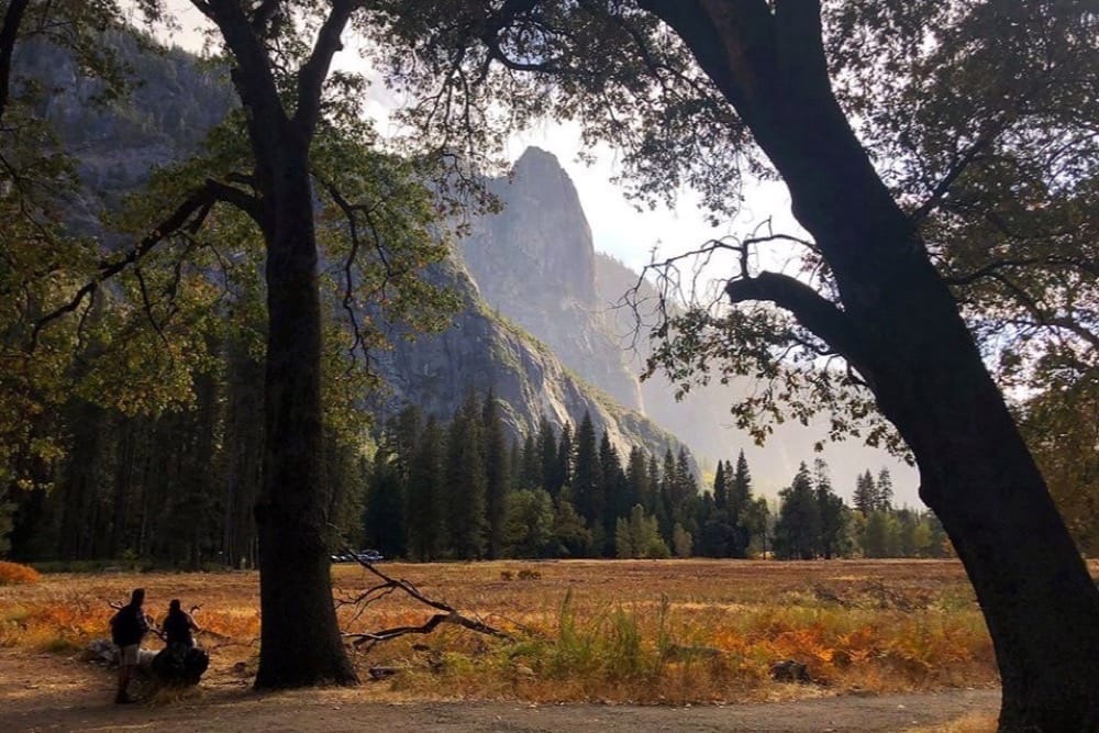 Autumn colors across Cook's Meadow toward Sentinel Rock in Yosemite National Park in late October