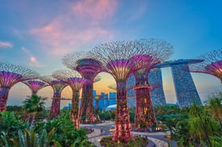 Photo of Supertree Grove in Singapore