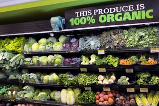 Picture of a 100% organic produce section in a grocery store