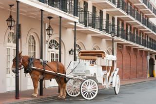 Photo of a horse carriage in New Orleans  