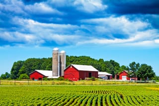 Picture of a farm and a field with crops 
