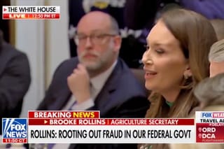 Picture of Agriculture Secretary Brooke Rollins 