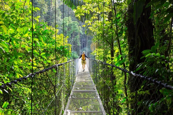 Image of a senior hiker in a Costa Rica rainforest on a footbridge