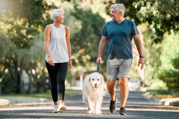 Picture of two seniors walking with golden retriever