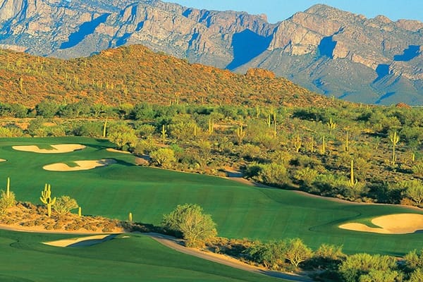 Image of the Gallery Golf & Sports Club at Del Webb Dove Mountain