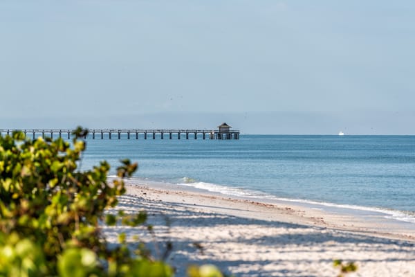 Picture of the beach and pier in Naples Florida