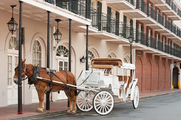 Photo of a horse carriage in New Orleans  