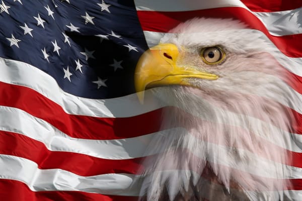 Image of American flag and an eagle