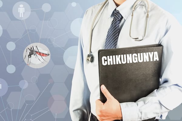 Picture of a doctor holding a binder labeled 'Chikungunya' alongside a mosquito 