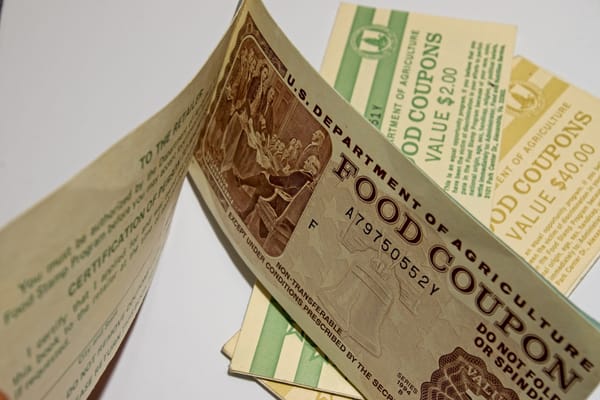 Picture of USDA Food Stamps