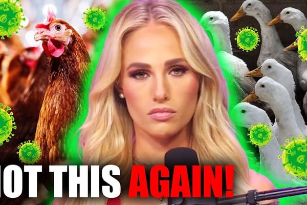 https://www.youtube.com/embed/l7J2HtEwnyw