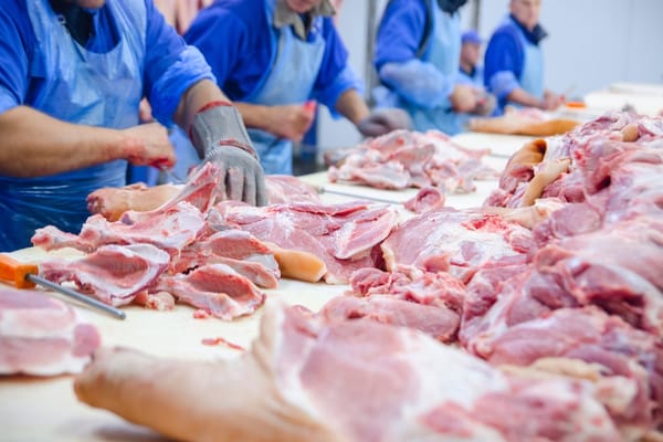 Picture of a meatpacking operation 