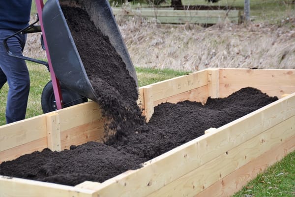 Picture of dirt being dumped from a wheelbarrow into a raised garden bed 