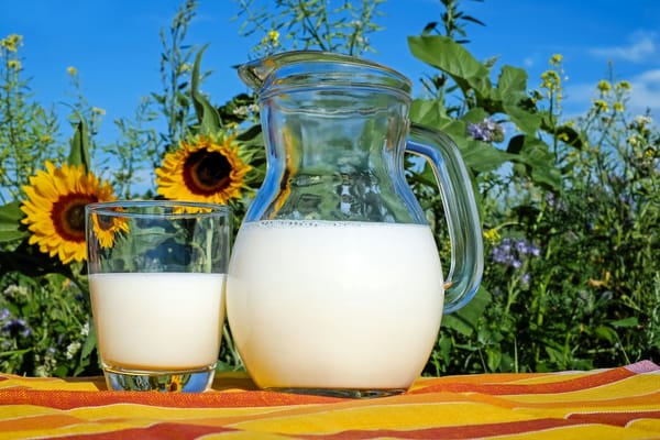 Image of a pitcher of milk next to a glass of milk sitting on a table with sunflowers in the background