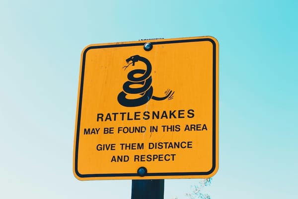 Image of a warning sign that says rattlesnakes may be found in this area